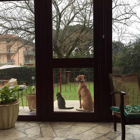 B&B Villa Acero Marina di Carrara Kültér fotó