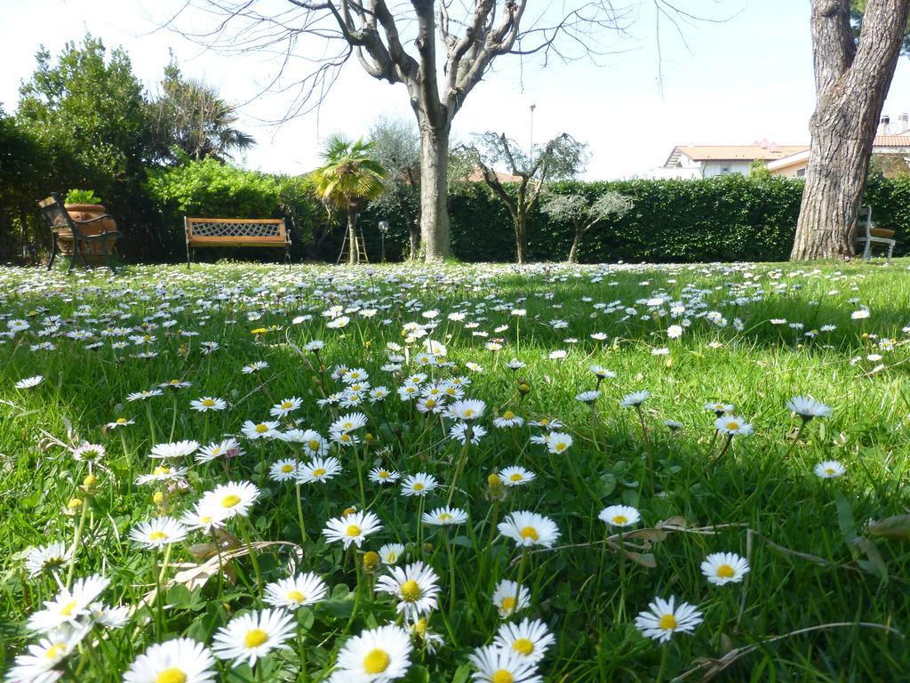 B&B Villa Acero Marina di Carrara Kültér fotó